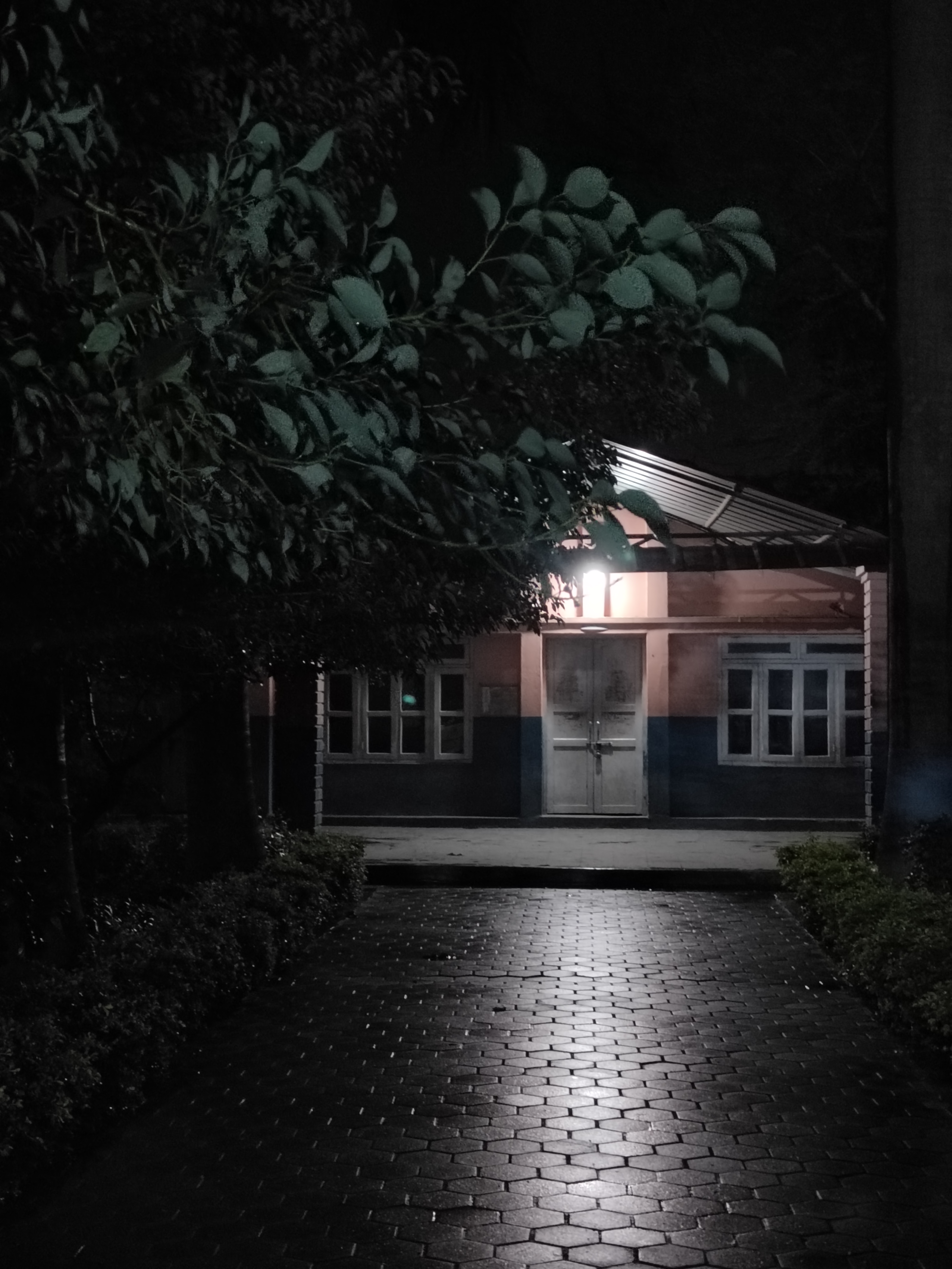 night photo of our college